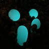 Pietre piatte che si illuminano al buio in vetro fosforescenti prodotto professionale per sentieri passaggi e giardini