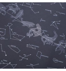 Mappa stelle e costellazioni adesiva che si illumina al buio da attaccare  al muro.